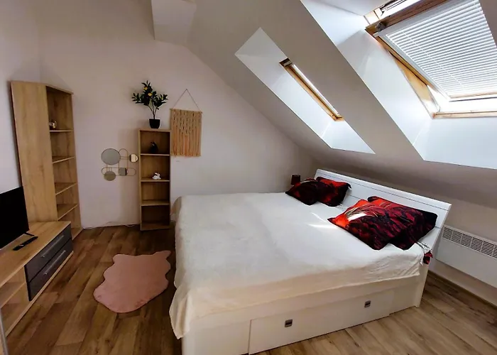 Charming In Historic Center 40 M 公寓 Hradec Králové