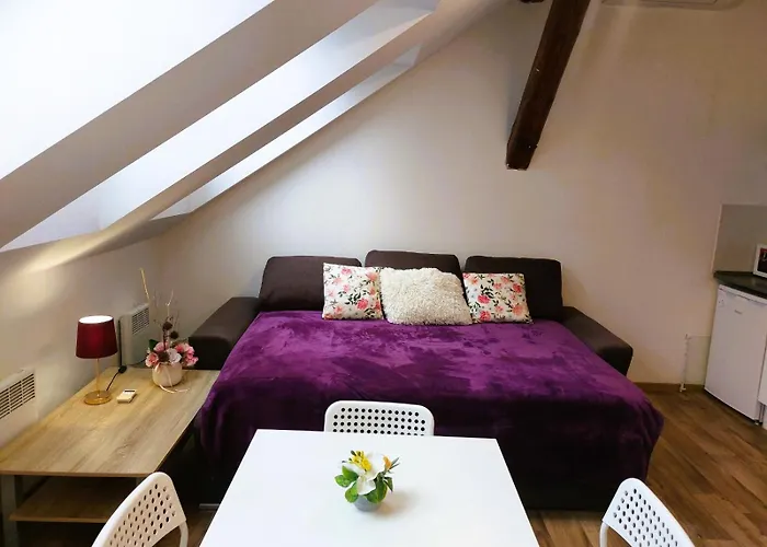 Charming In Historic Center 40 M 公寓 Hradec Králové