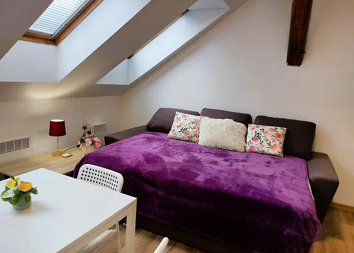 Charming In Historic Center 40 M 公寓 *